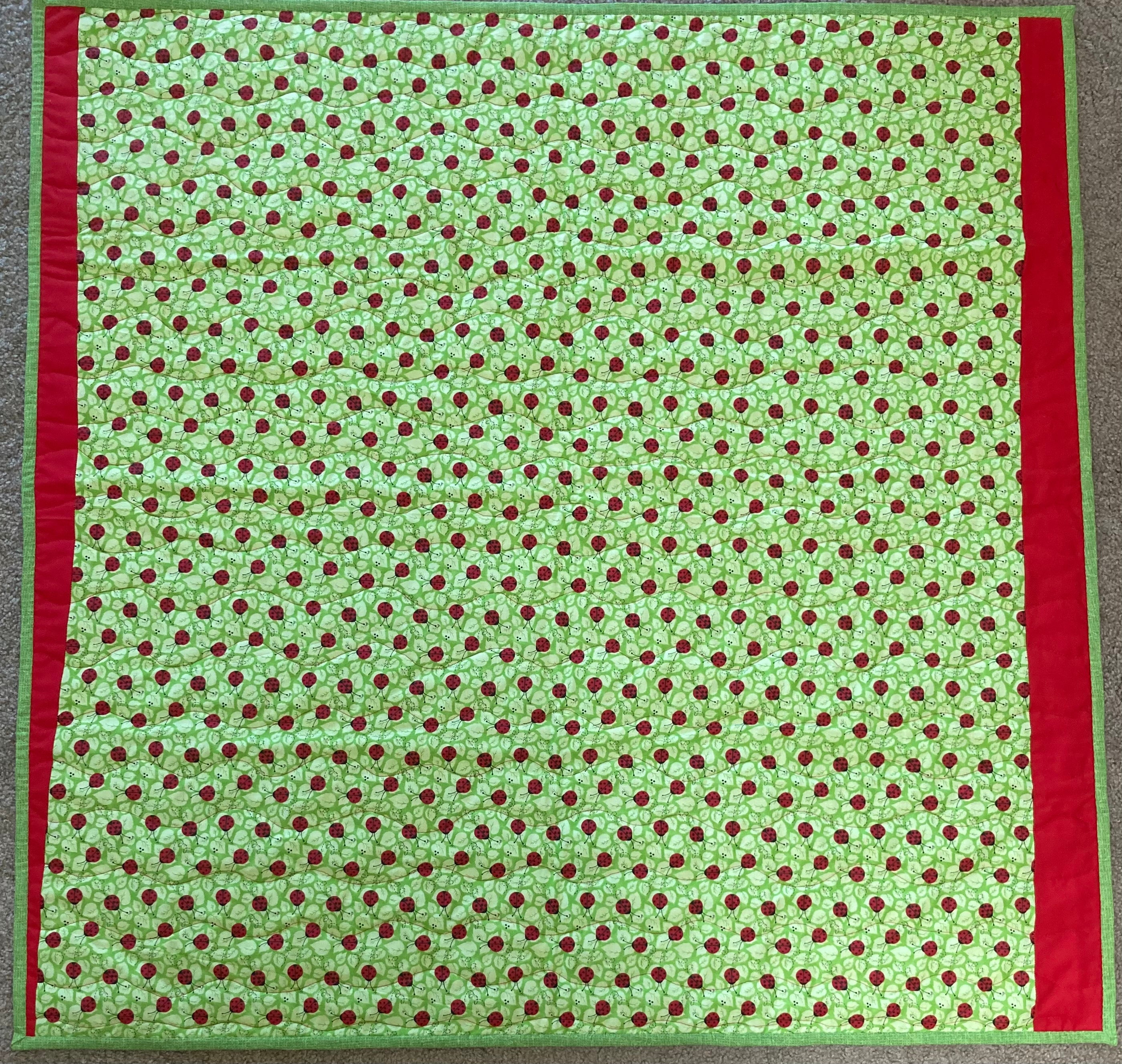 Watermelon Delight (40” x 40”) 2024 - Waterlily Quilts