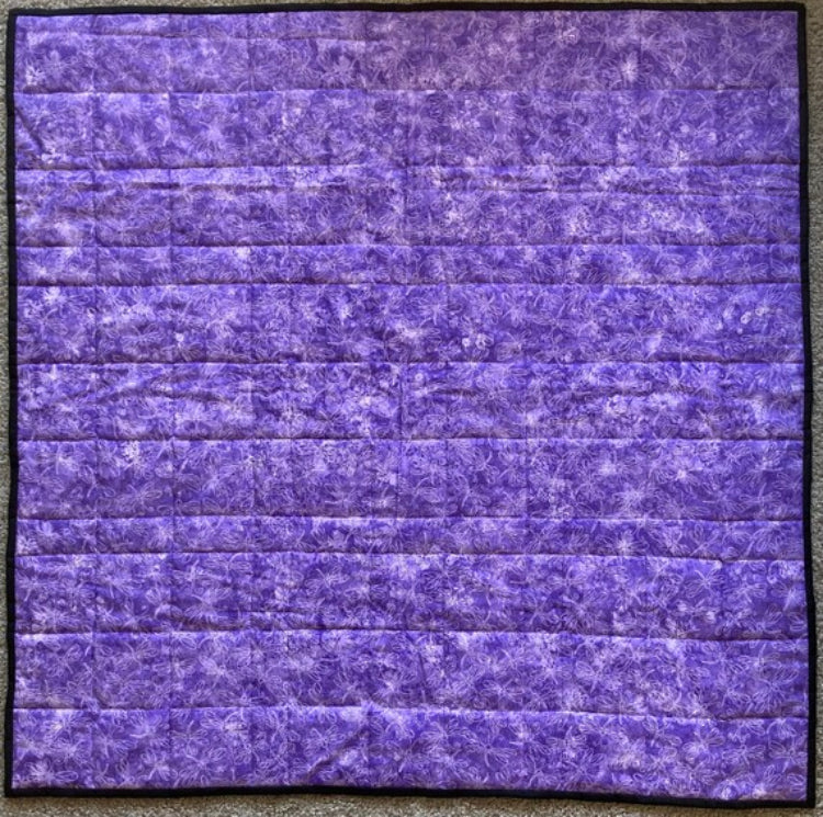 Dragonfly Burst (40" x 40") - Waterlily Quilts