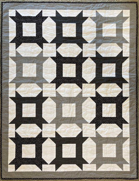 Raccoon Bandit (40" x 60") - Waterlily Quilts